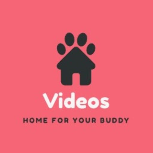 Video Bokep-terbaru Kakak